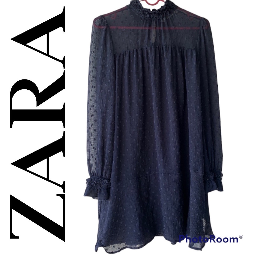 Zara Basic Chiffon Style Dress